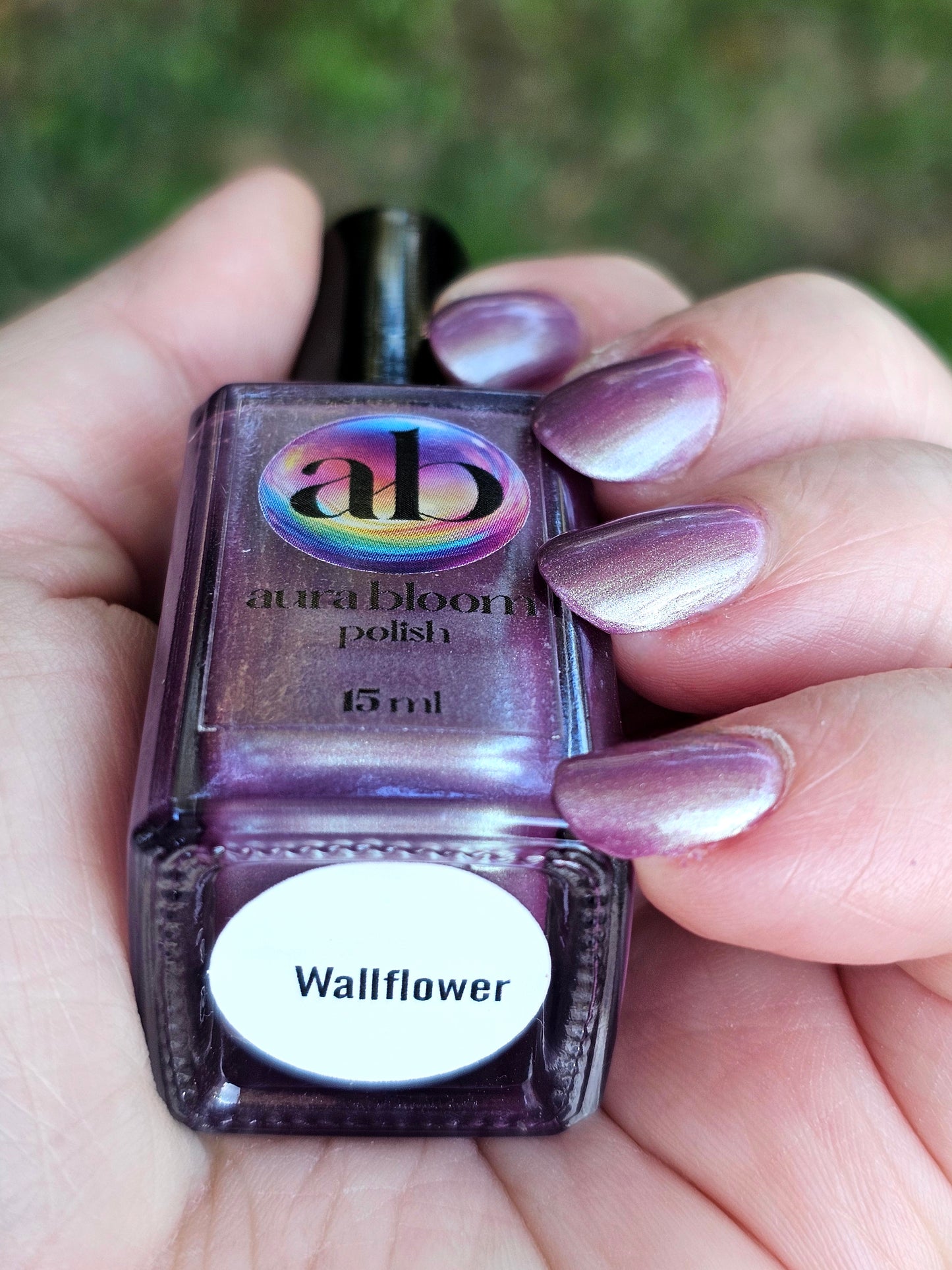 Wallflower
