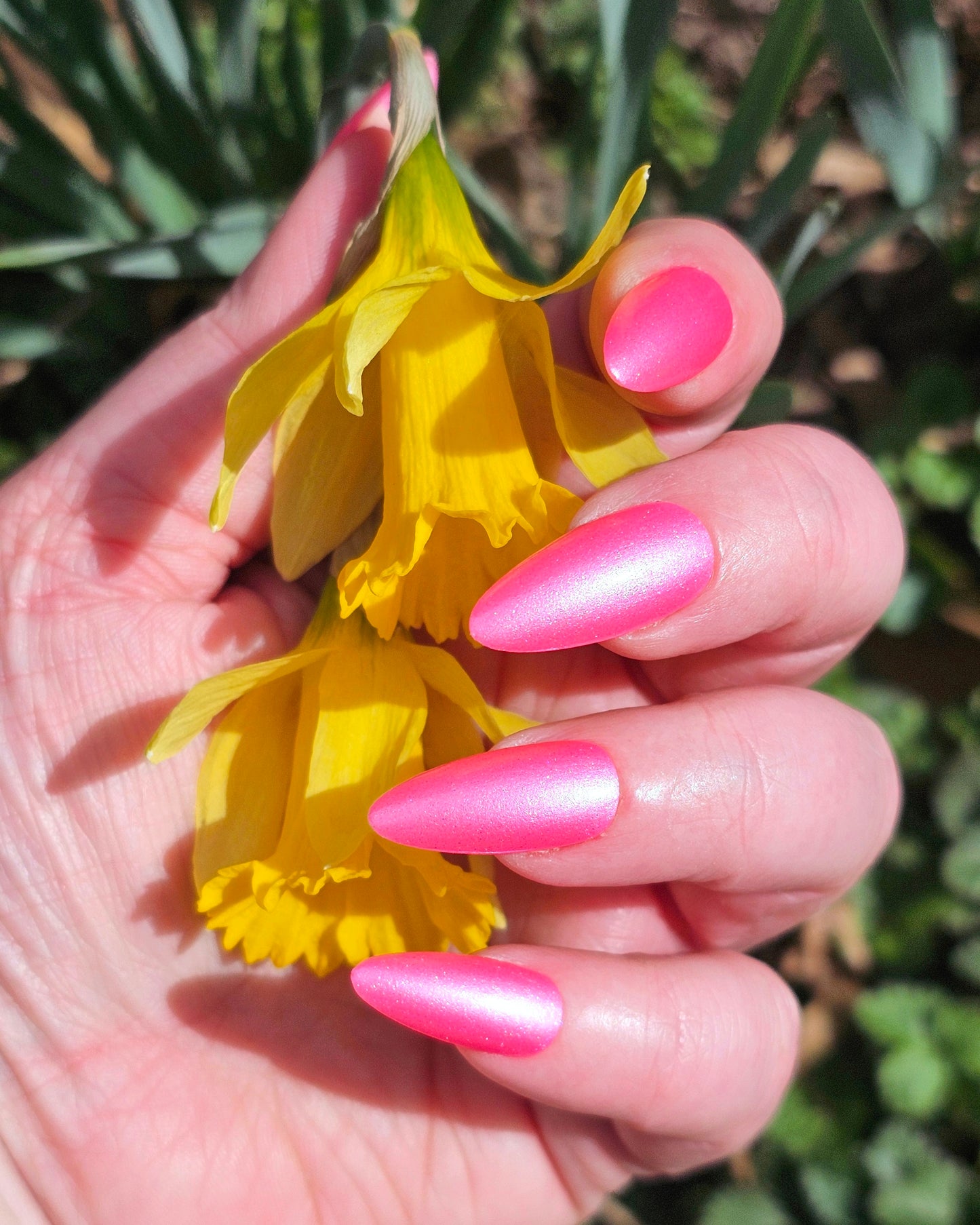 Awesome Blossom