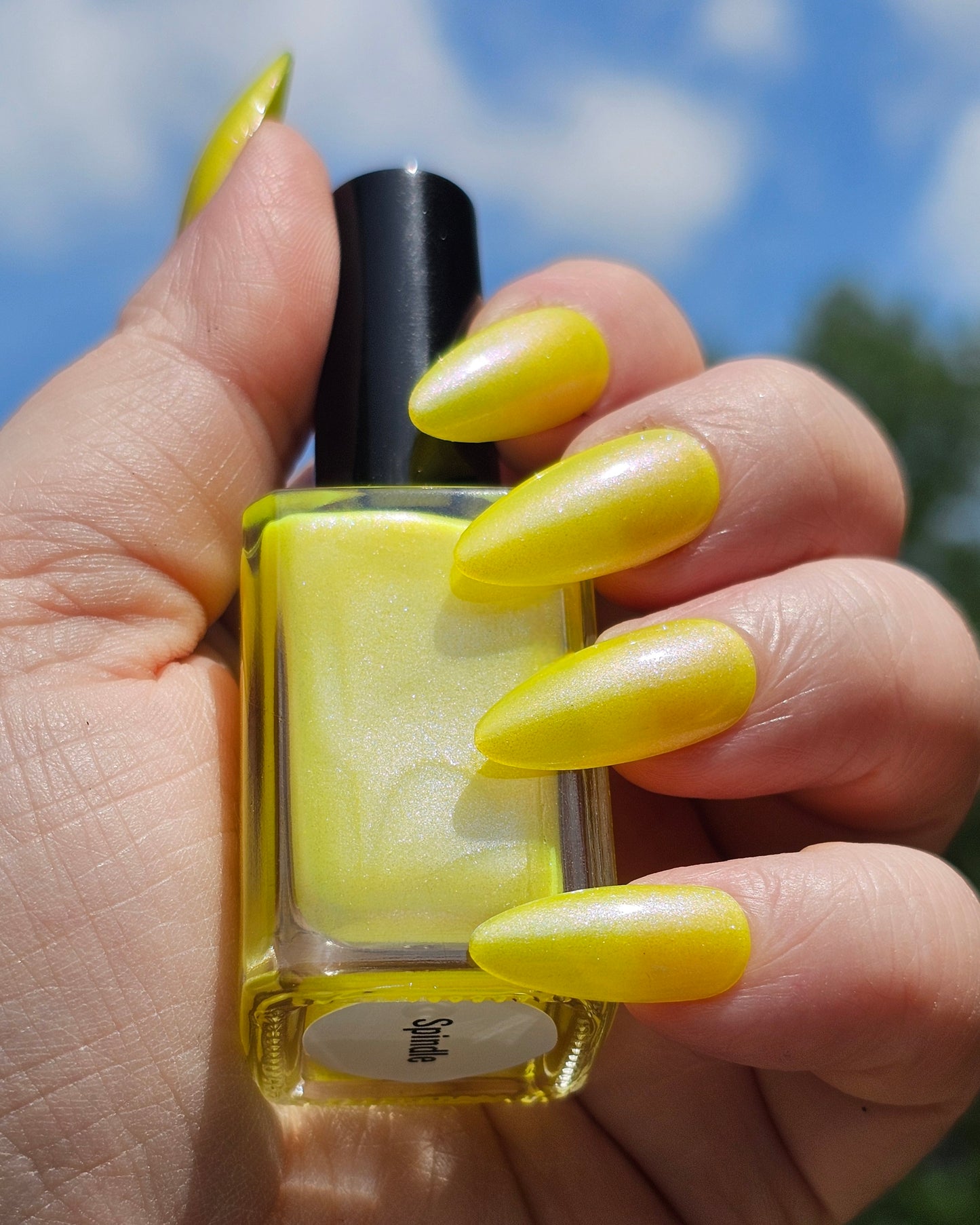 Neon Dreams Collection