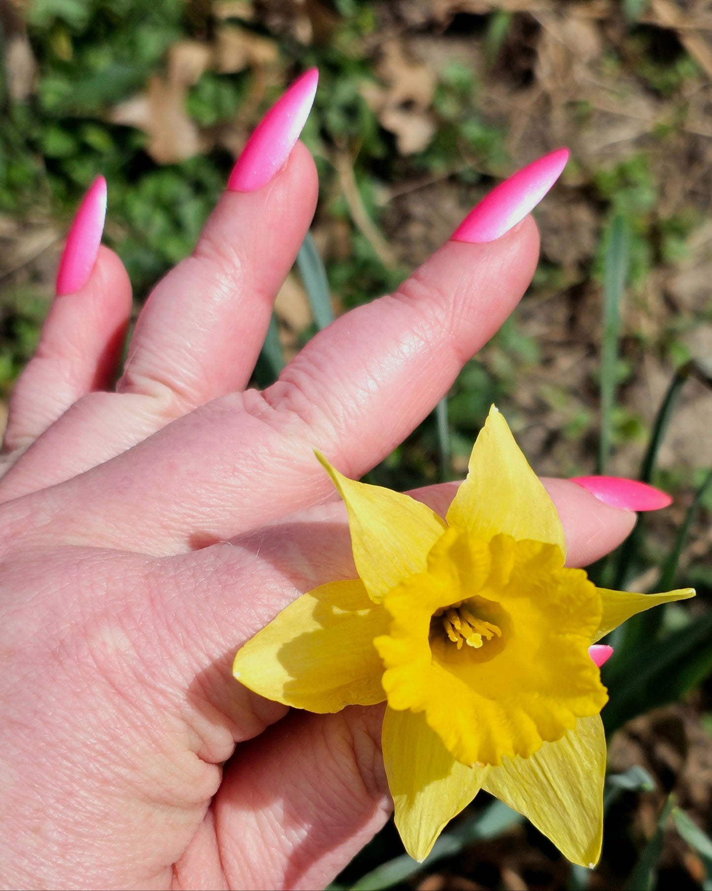 Awesome Blossom
