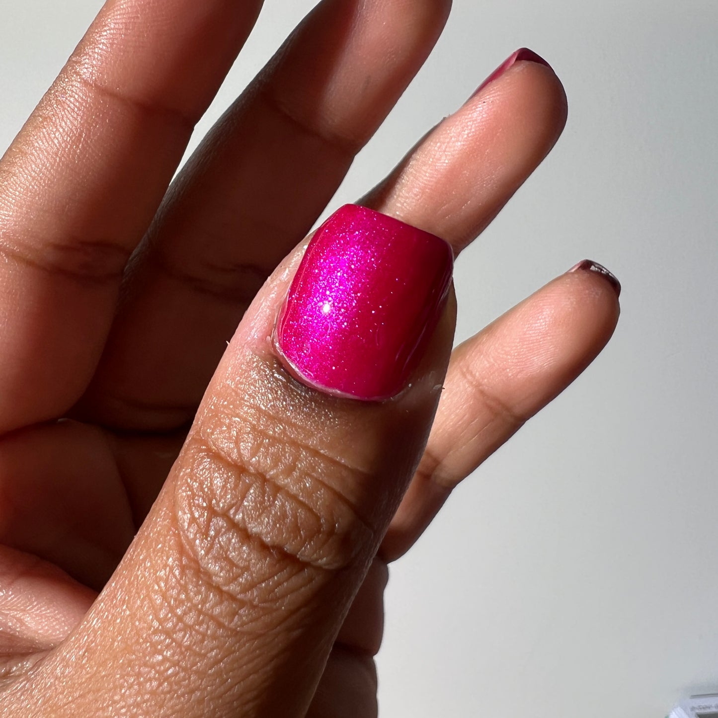 Fuchsia Fantasy