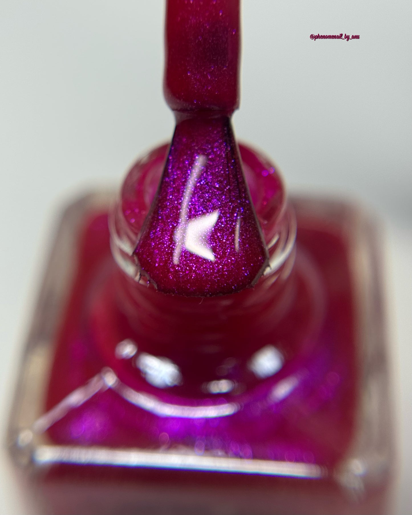 Fuchsia Fantasy