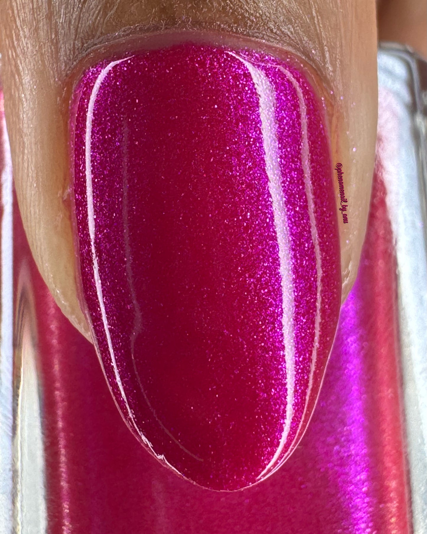 Fuchsia Fantasy