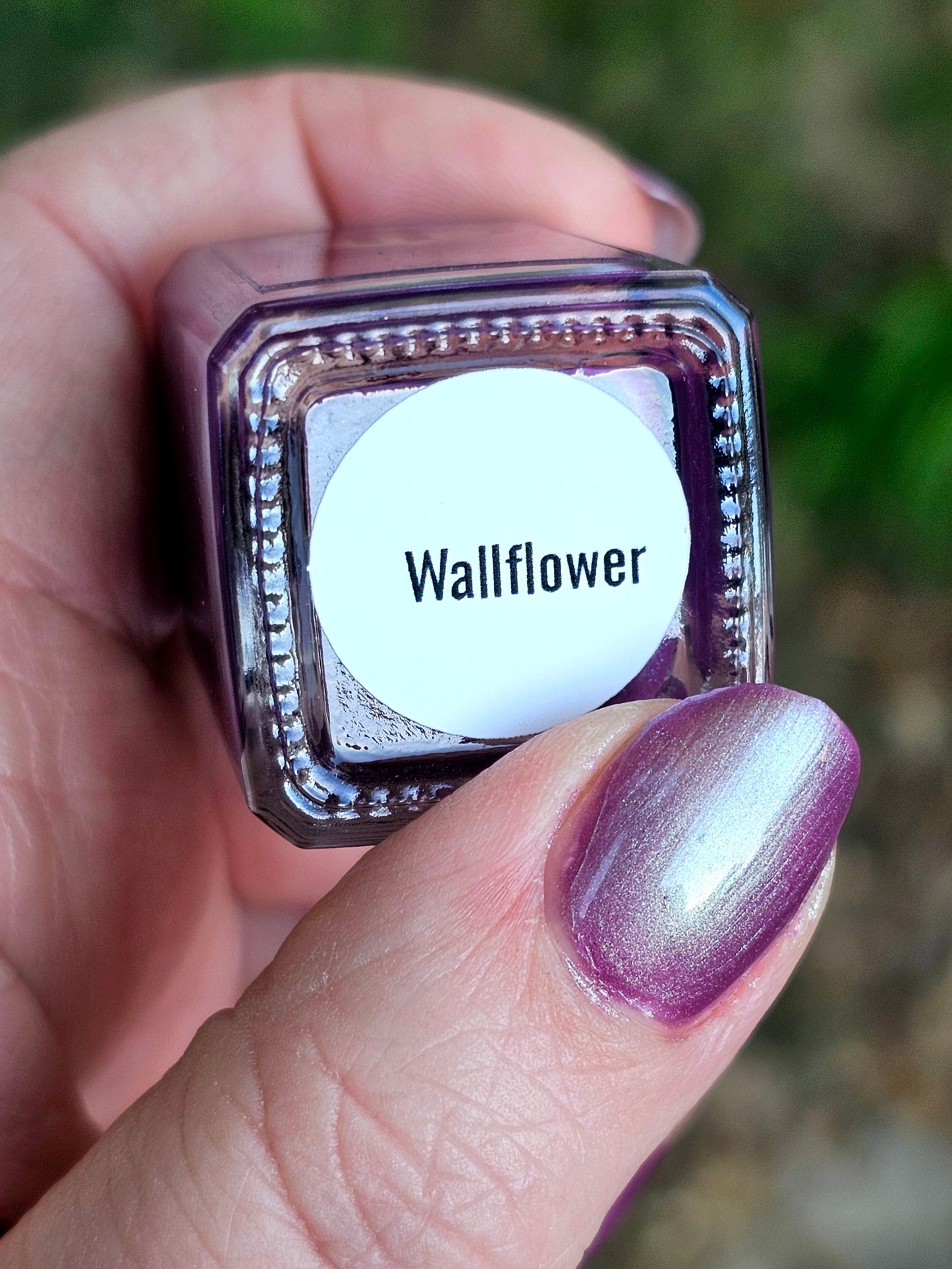 Wallflower