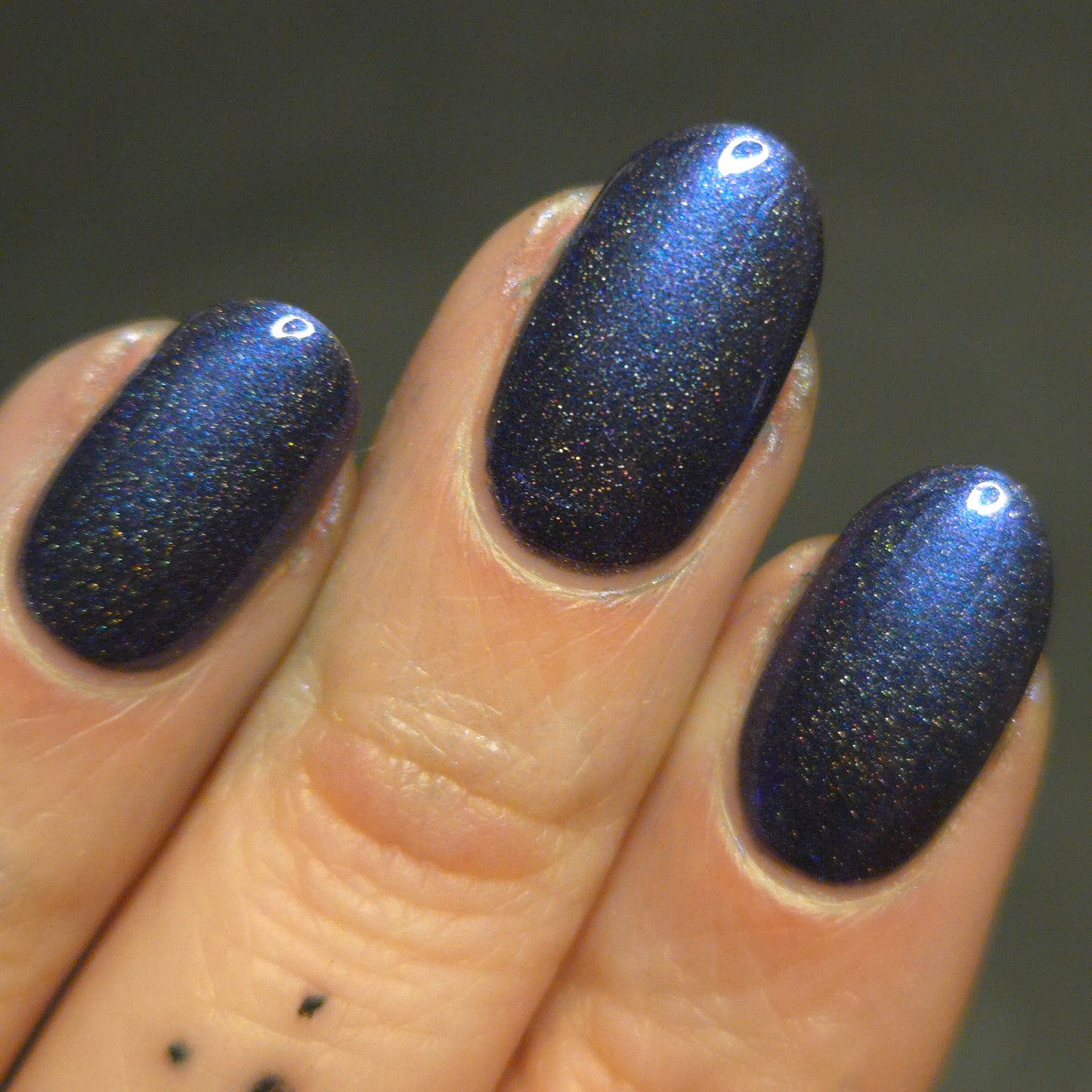 Whispers of the Wilderness Collection