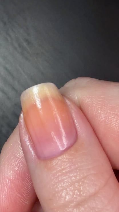 Snow Globe (Thermal)