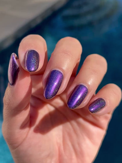 Whispers of the Wilderness Collection