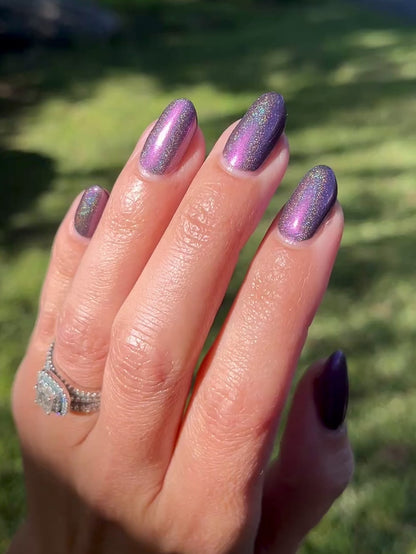 Whispers of the Wilderness Collection