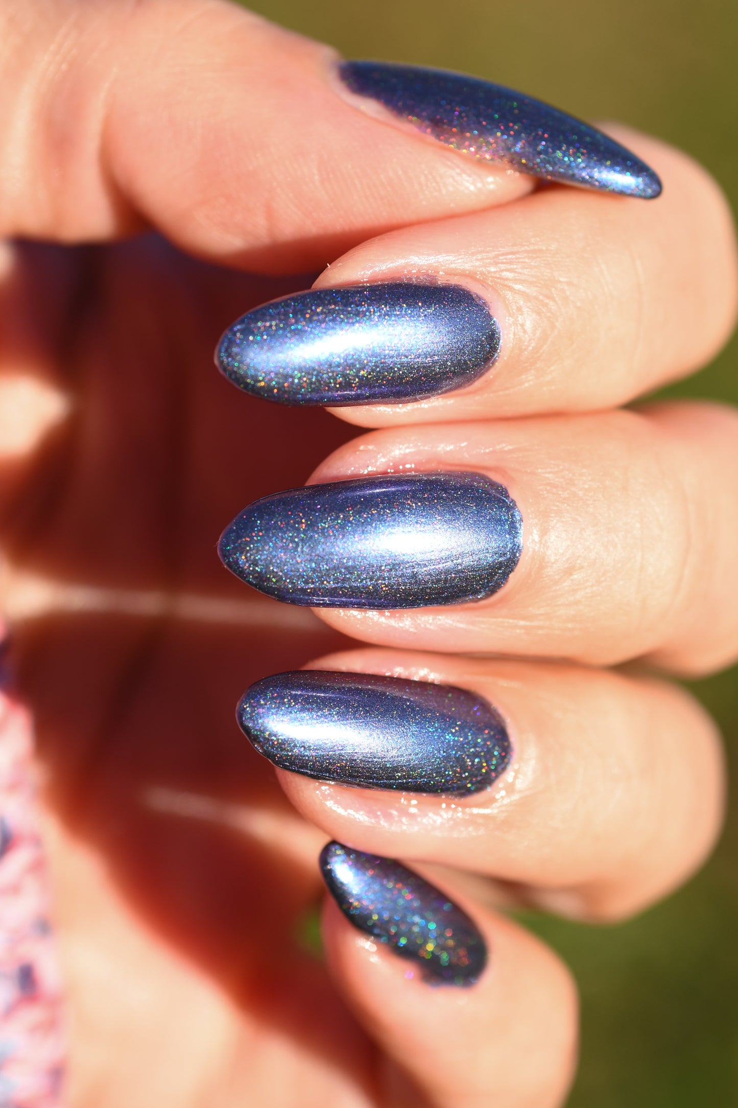 Whispers of the Wilderness Collection