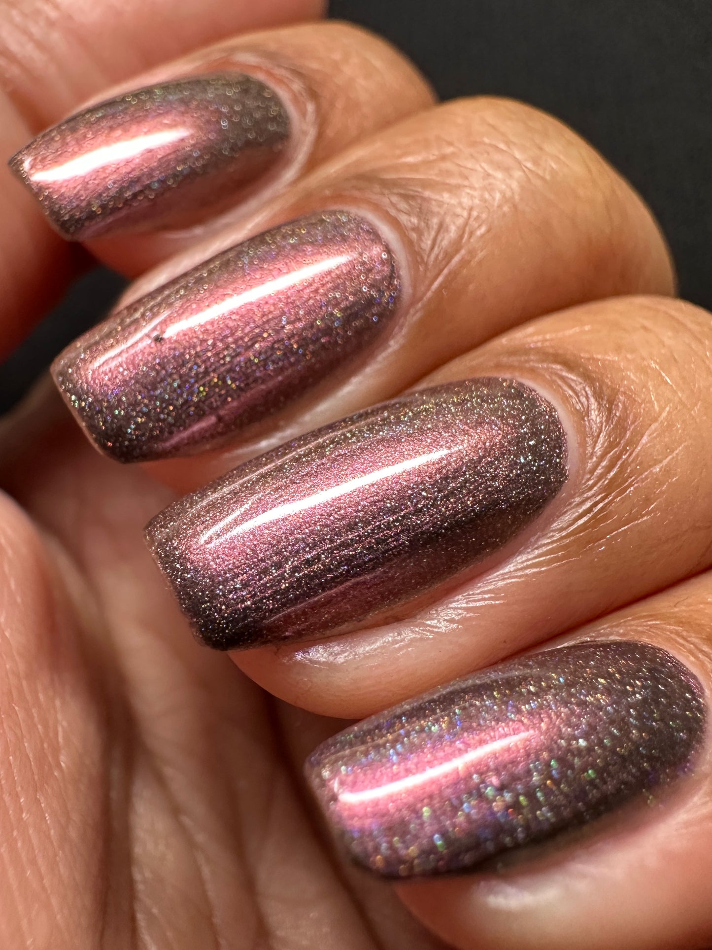 Whispers of the Wilderness Collection