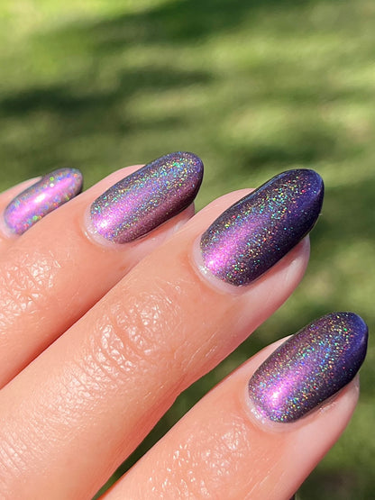 Whispers of the Wilderness Collection