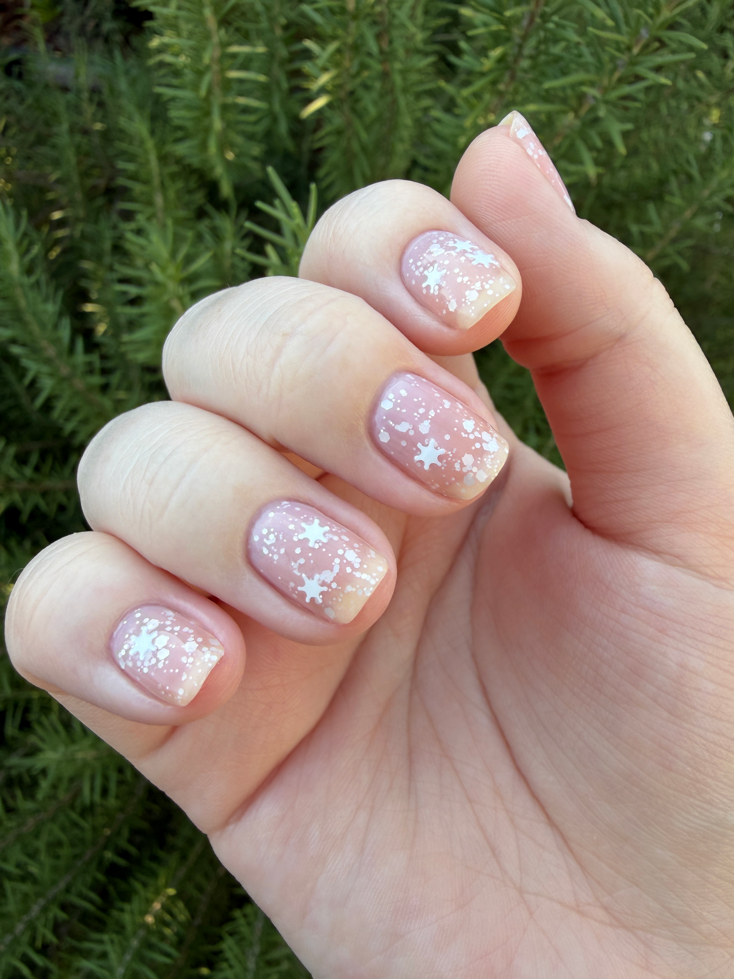 Snow Globe (Thermal)