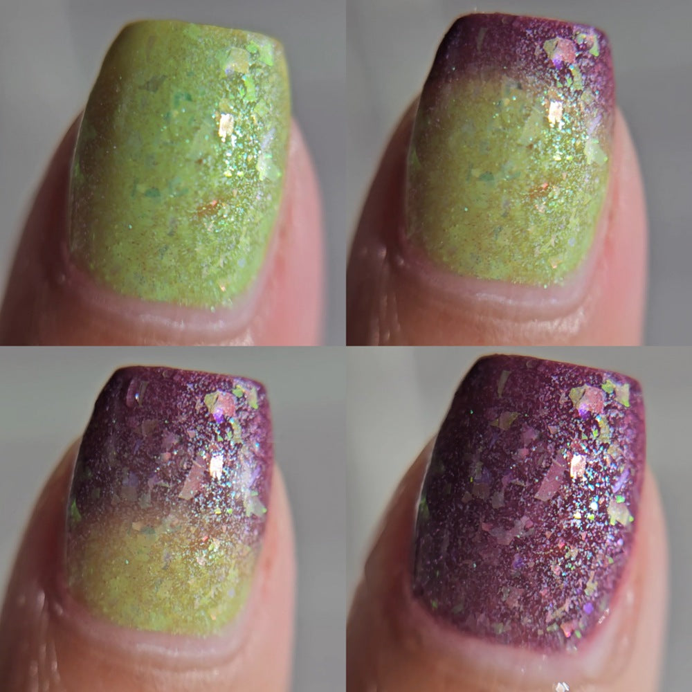 Purple Queen Bean (SoU Apr 2026) - AFK