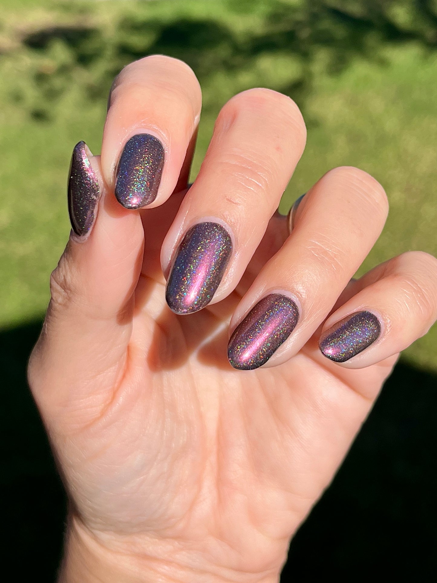 Whispers of the Wilderness Collection