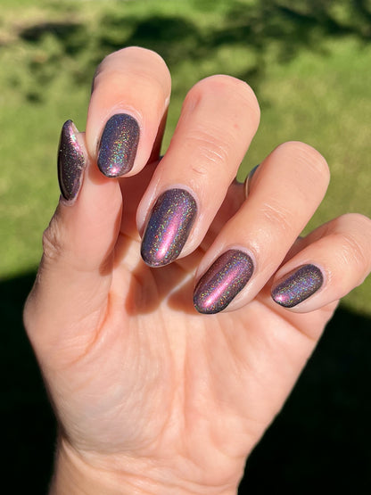 Whispers of the Wilderness Collection