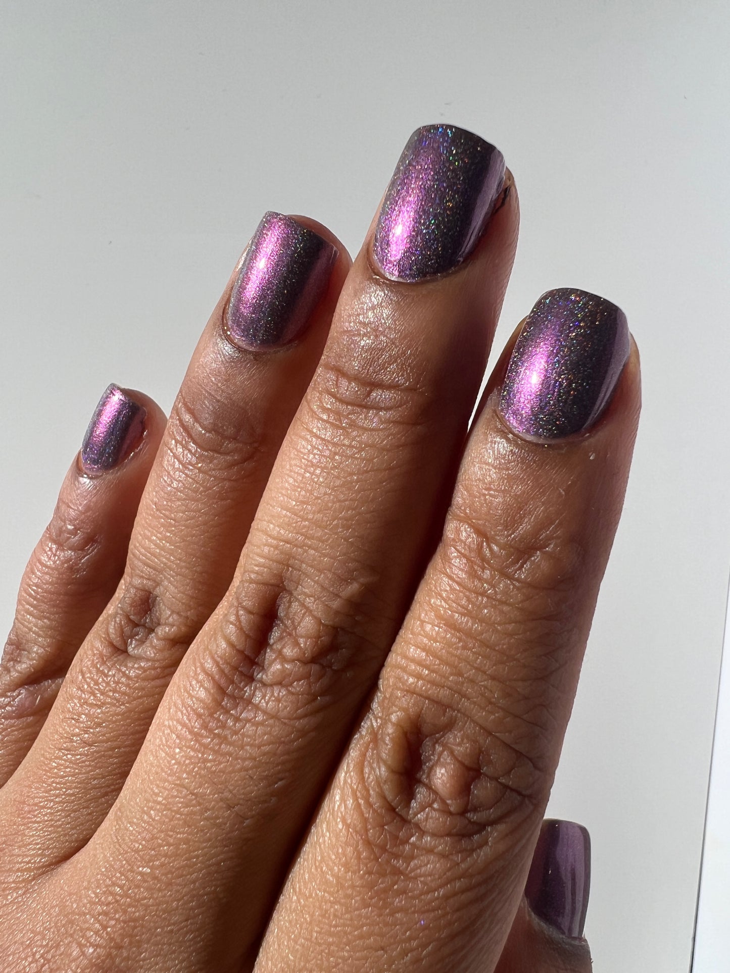 Whispers of the Wilderness Collection