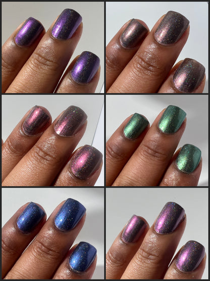 Whispers of the Wilderness Collection