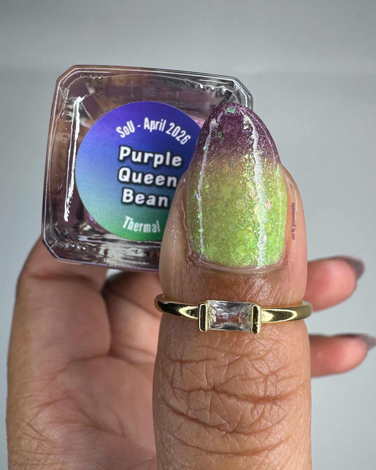 Purple Queen Bean (SoU Apr 2026) - AFK