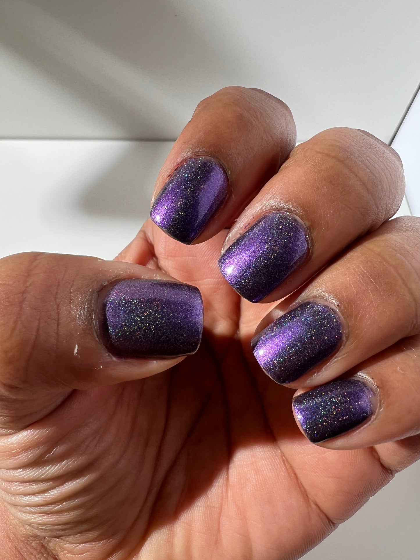 Whispers of the Wilderness Collection