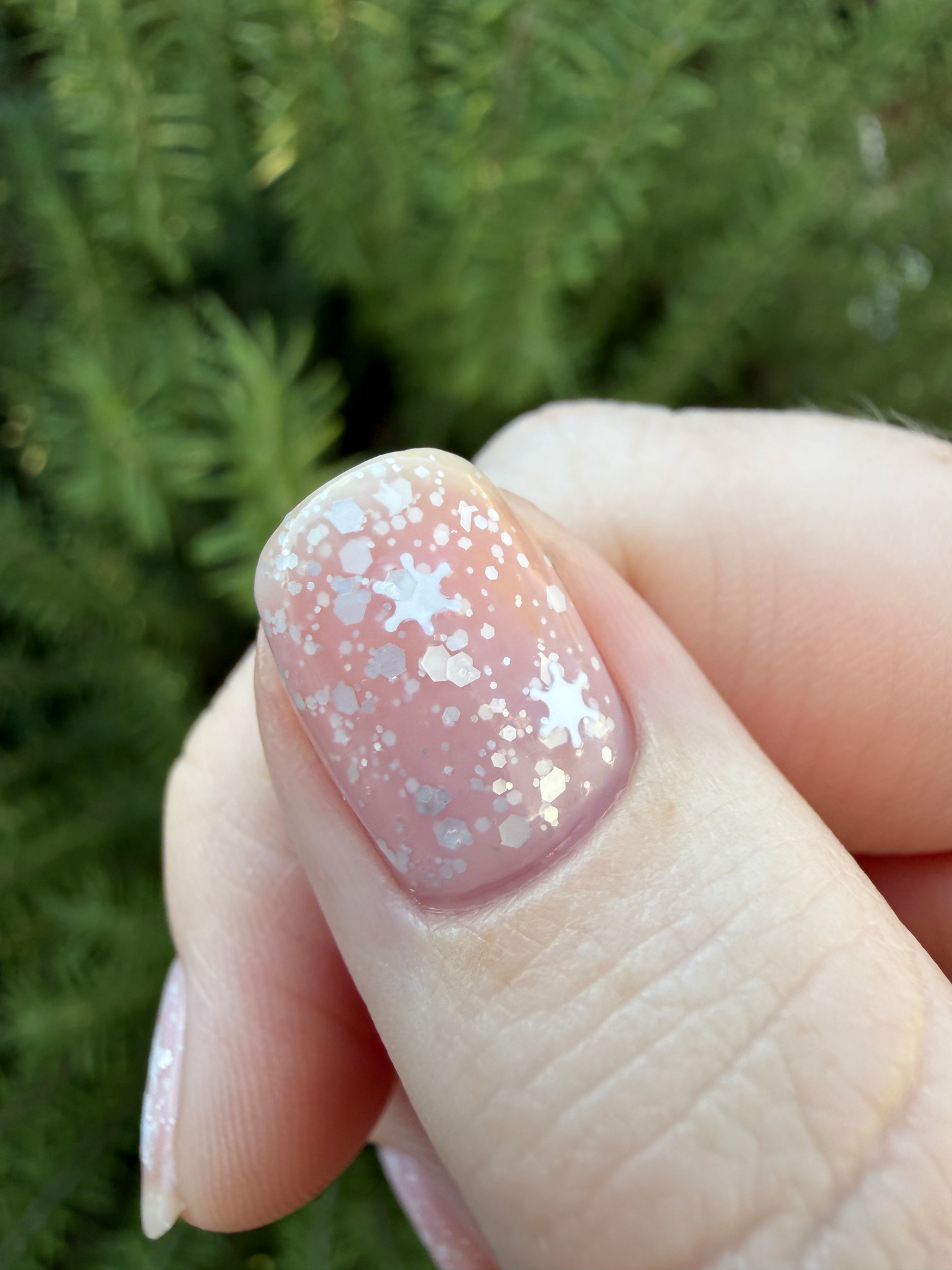 Snow Globe (Thermal)