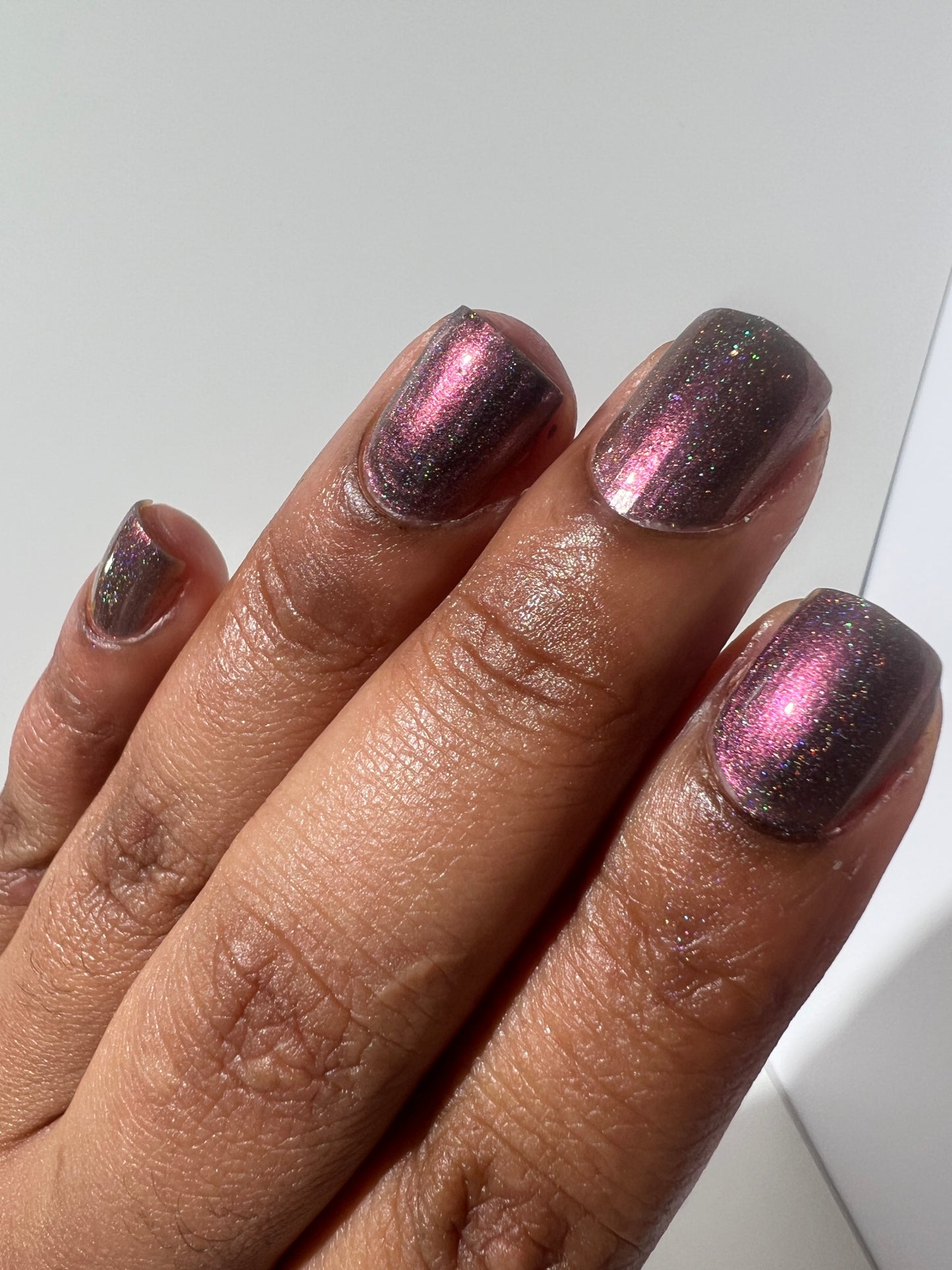 Whispers of the Wilderness Collection