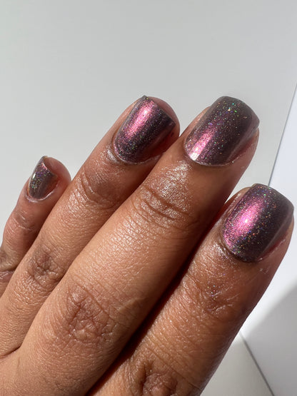 Whispers of the Wilderness Collection