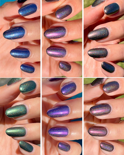 Whispers of the Wilderness Collection