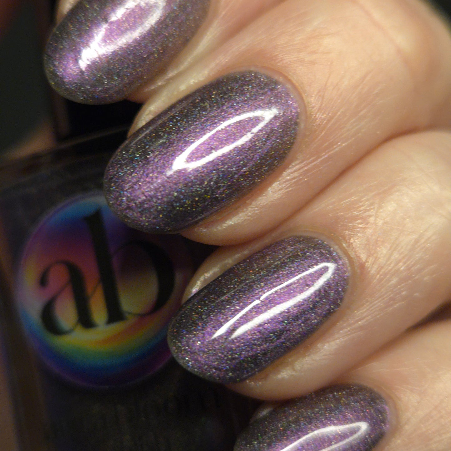 Whispers of the Wilderness Collection