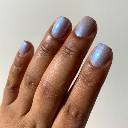 Winter Dreamscape Collection