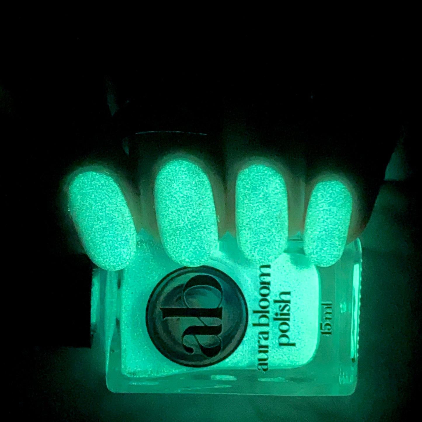 No One Likes A Shady Beach (GITD)