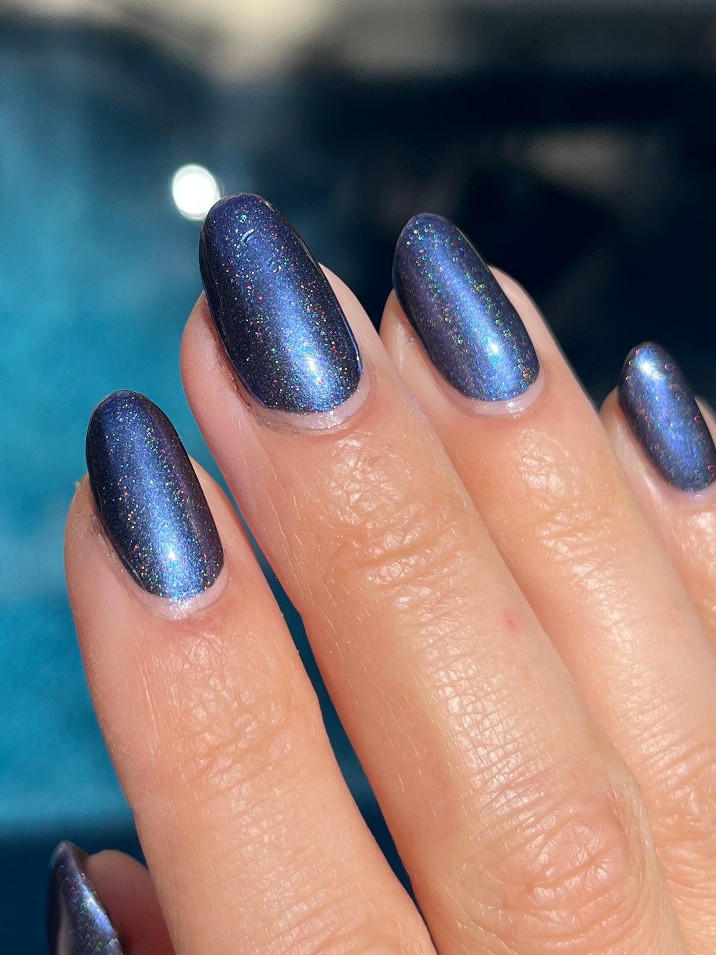 Whispers of the Wilderness Collection