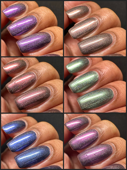 Whispers of the Wilderness Collection