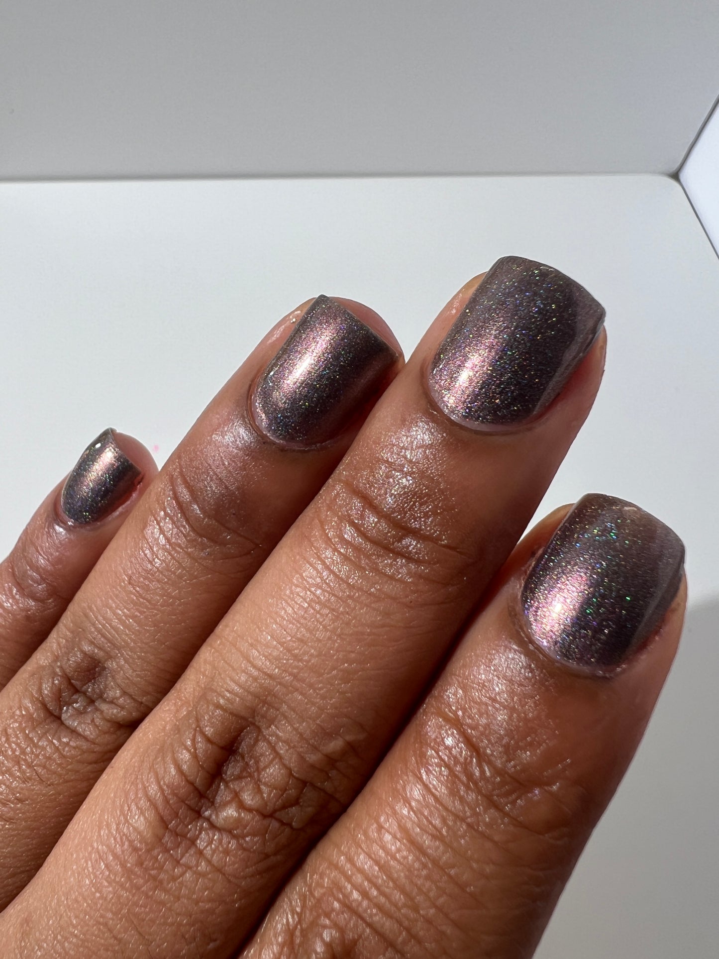 Whispers of the Wilderness Collection