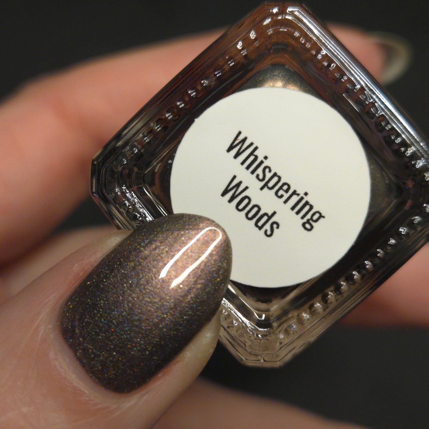 Whispers of the Wilderness Collection