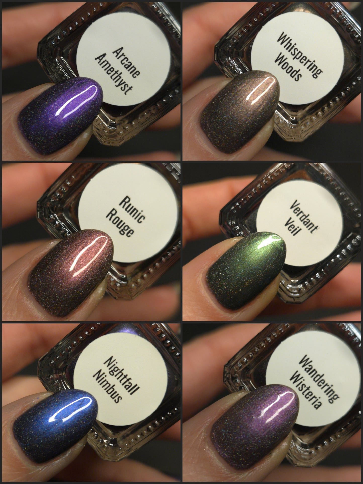 Whispers of the Wilderness Collection