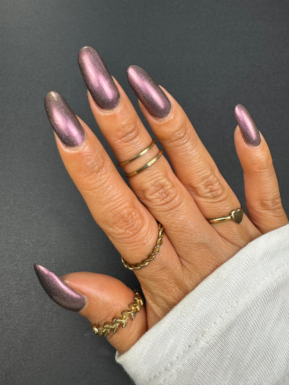 Whispers of the Wilderness Collection