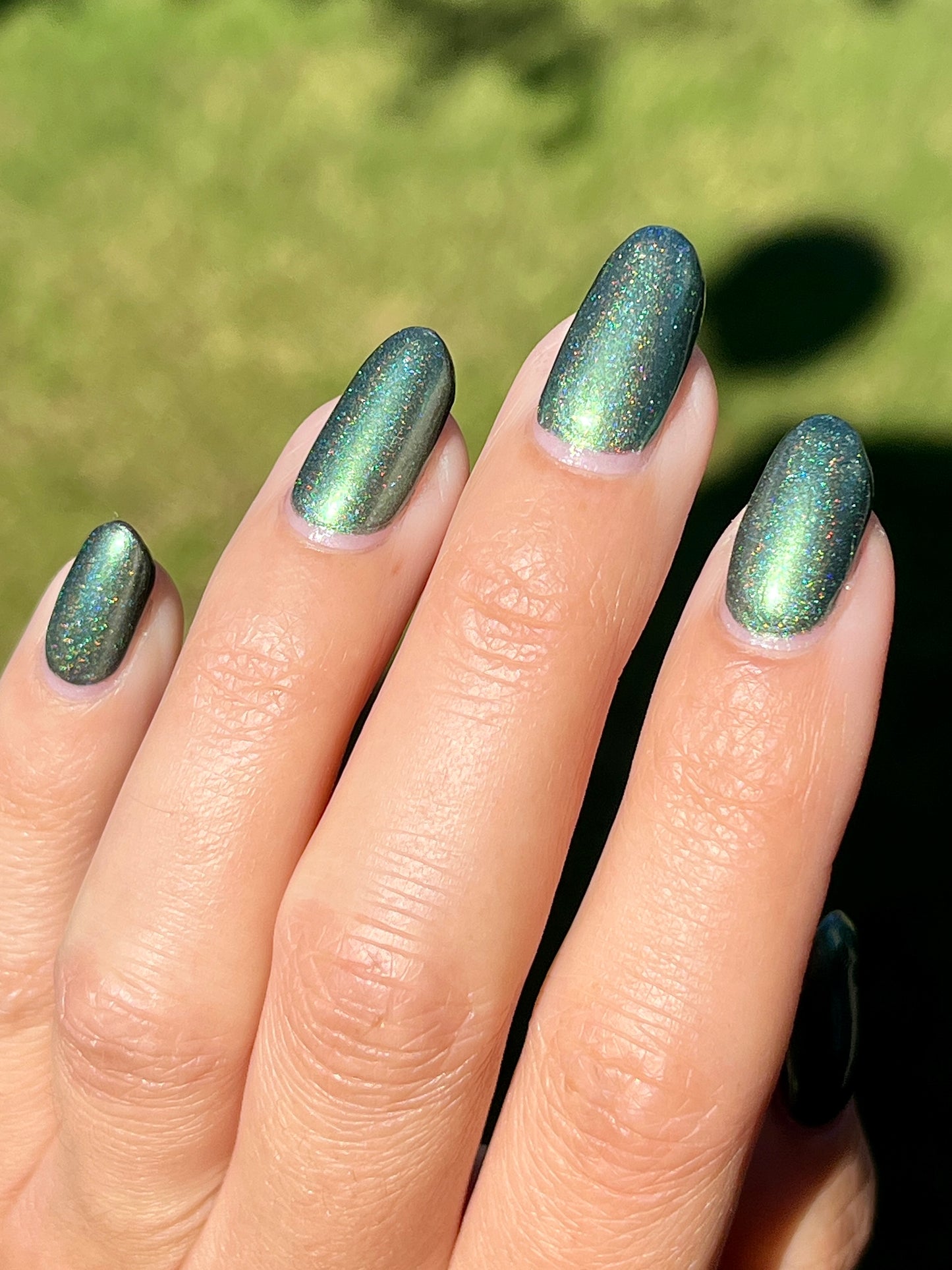 Whispers of the Wilderness Collection