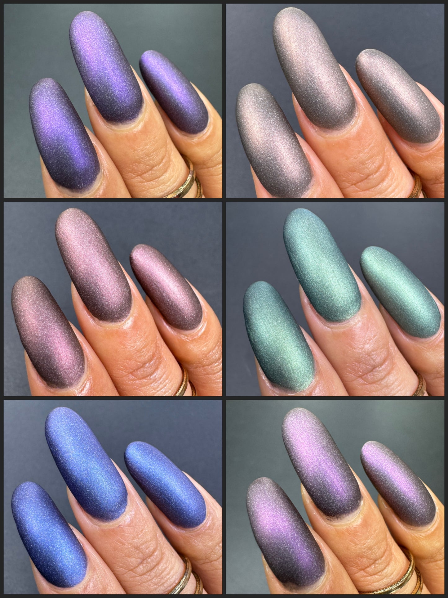 Whispers of the Wilderness Collection