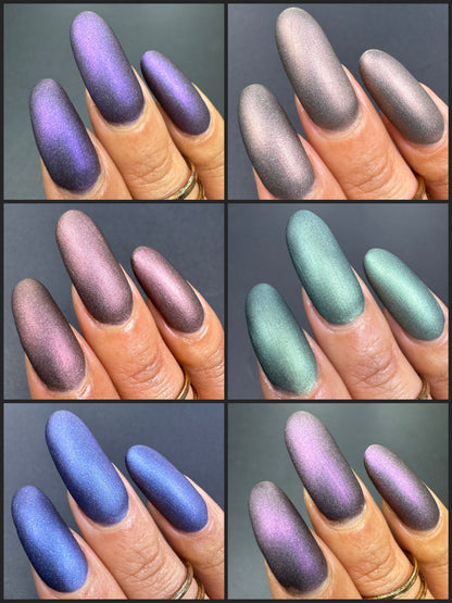 Whispers of the Wilderness Collection