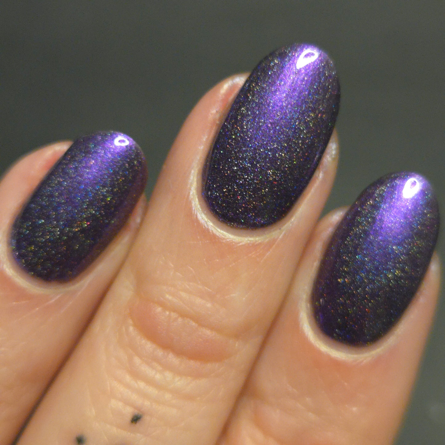 Whispers of the Wilderness Collection