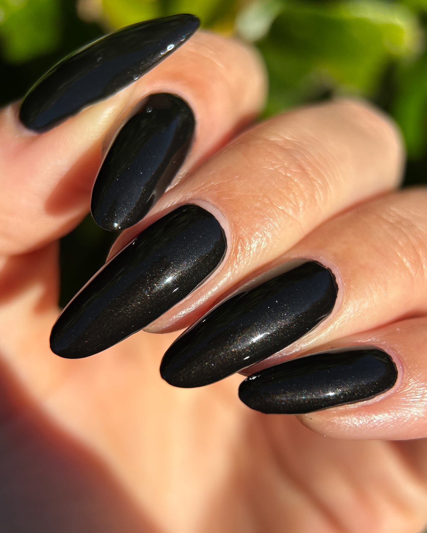 That's Wicked Black