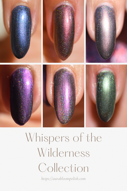 Whispers of the Wilderness Collection