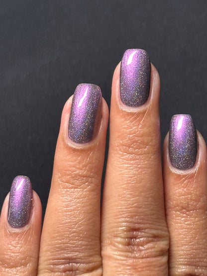 Whispers of the Wilderness Collection