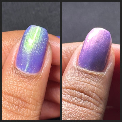 Winter Dreamscape Collection