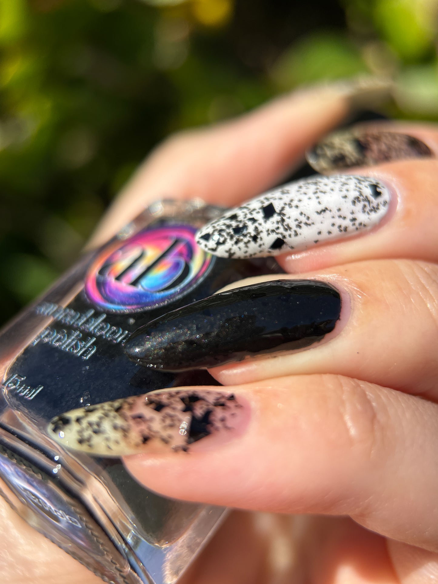 Black Hole (Topper)