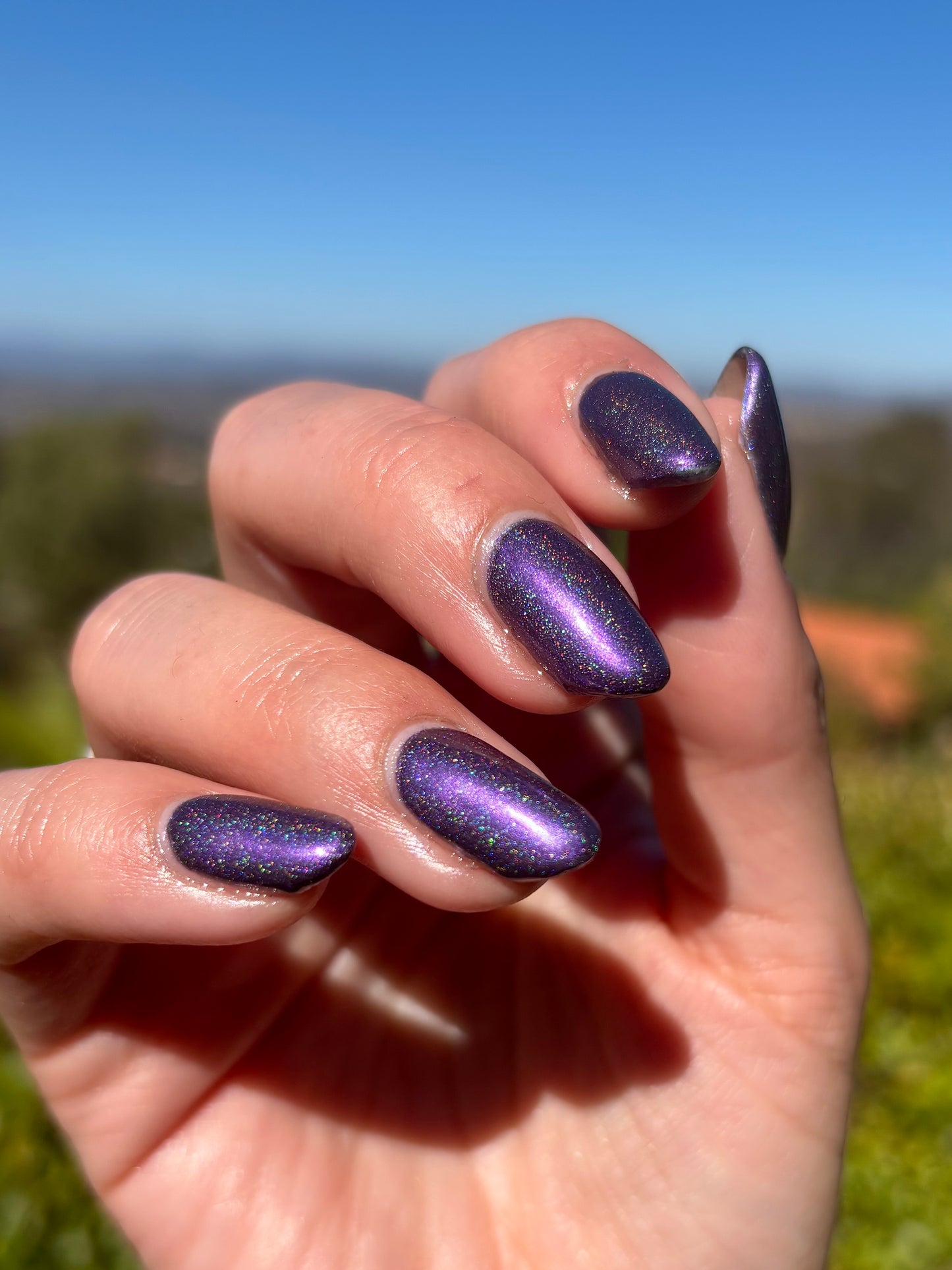 Whispers of the Wilderness Collection