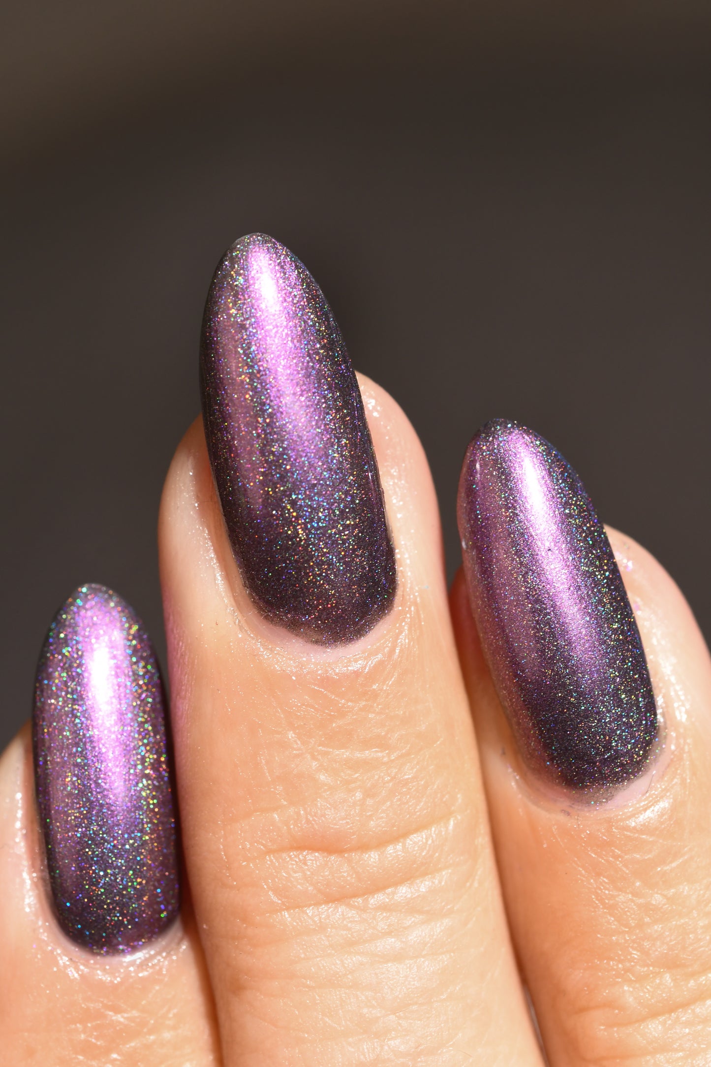 Whispers of the Wilderness Collection