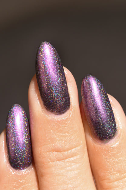 Whispers of the Wilderness Collection